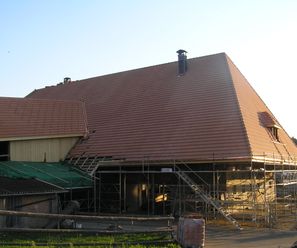 Bauernhaus, Rumendingen